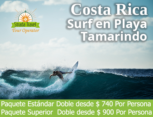 web-playa-tamarindo web-playa-tamarindo